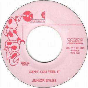 CAN'T YOU FEEL IT / VERSION