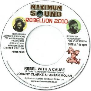 REBEL WITH A CAUSE / NO MORE TEARS