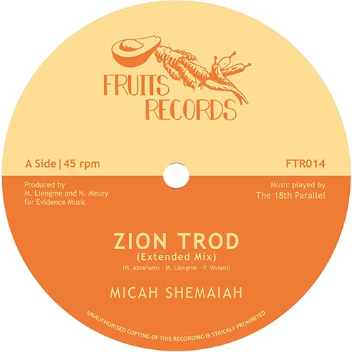ZION TROD(Extended Mix) / SOUL RIDER(Extended Mix)
