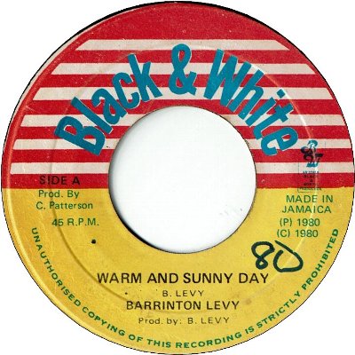WARM AND SUNNY DAY (VG+/WOL) / SUNNY STYLE (VG/WOL)