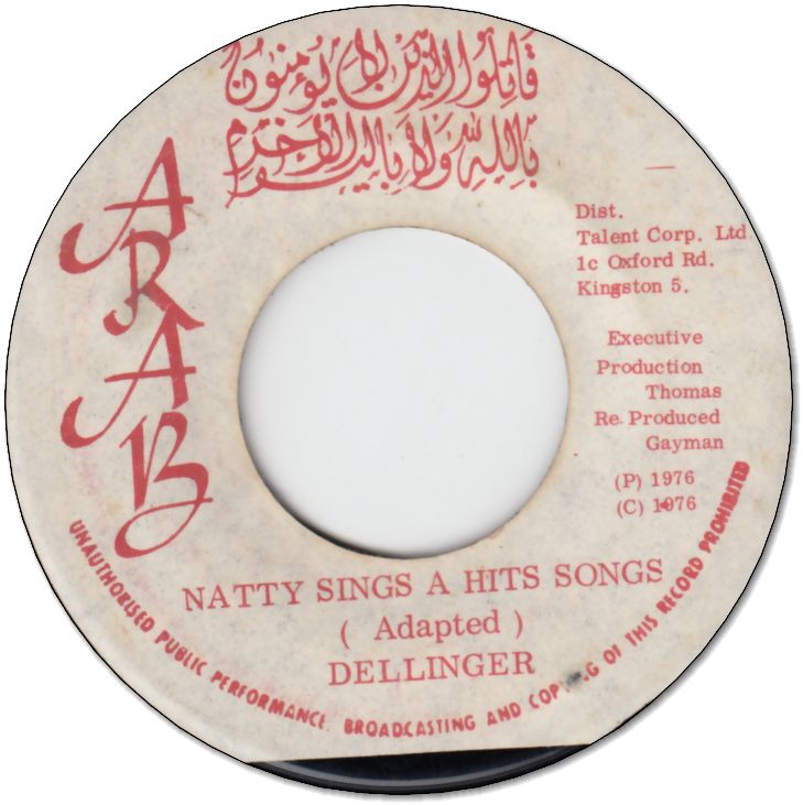NATTY SINGS A HITS SONGS (VG+) / DUBS SONGS (VG)