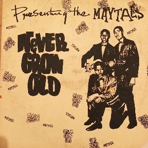 NEVER GROW OLD(Silk Screen Cover)